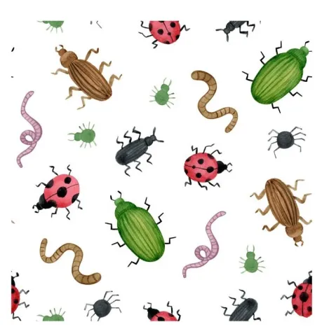 Lovebugs and Bookworms