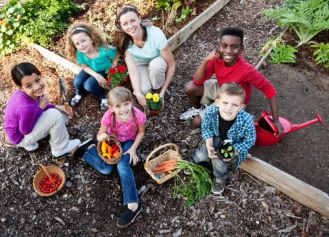 Children in Vegetable Garden
