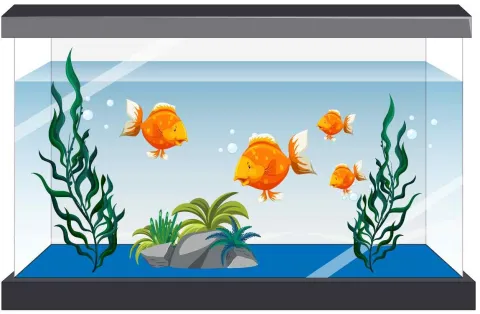 Aquarium