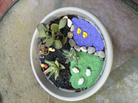 Pot with succulent plants and decorations.