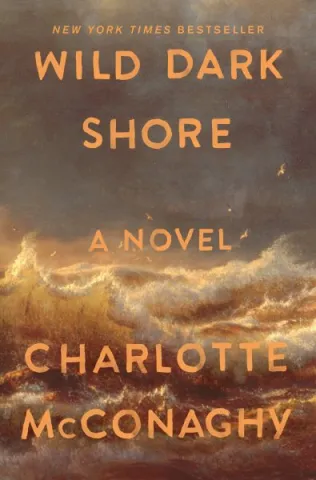 wild dark shore